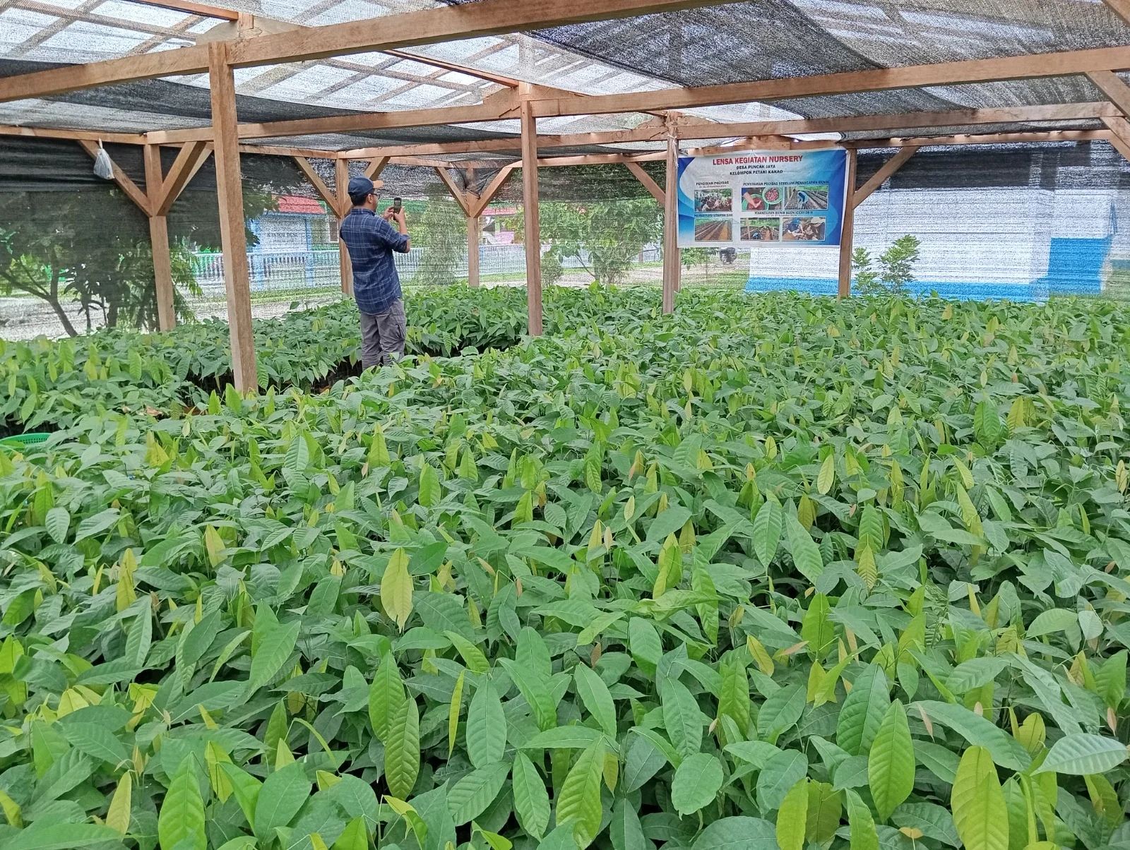 Pemkab Pohuwato Apresiasi Program Kakao Burung Indonesia