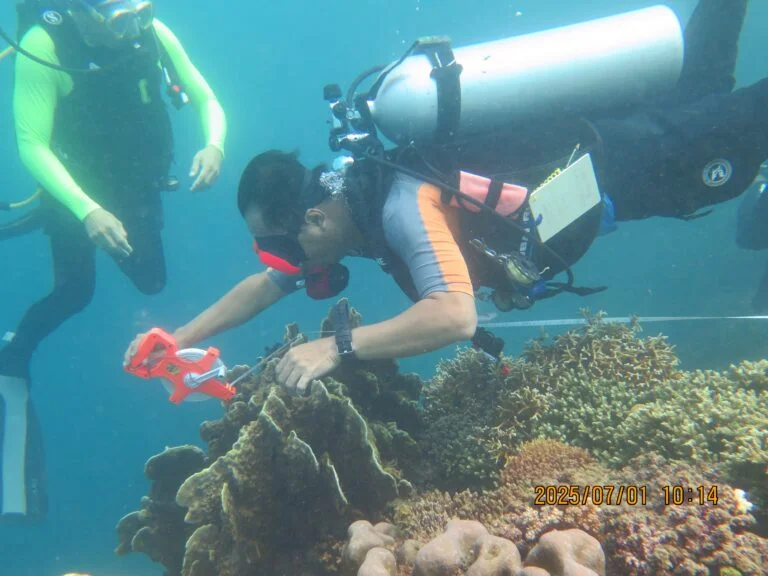 Gorontalo Kawal Keberlanjutan Hiu Paus Lewat Program LAUTRA