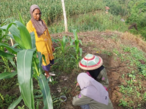UNU Gorontalo Dampingi Petani Atasi Konflik Satwa