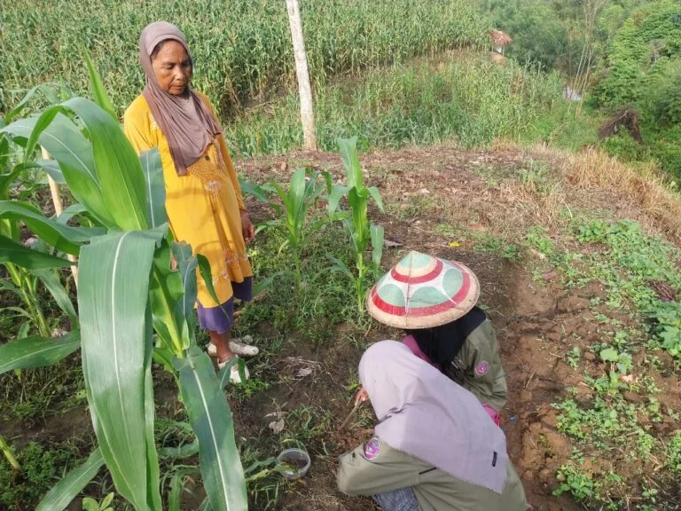 UNU Gorontalo Dampingi Petani Atasi Konflik Satwa