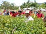 Harga Pupuk Subsidi Turun 20%, Tani Merdeka Gorontalo Diminta Awasi Distribusi hingga ke Petani