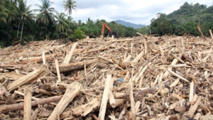 DPR Soroti Ketidakjelasan Status Kayu Gelondongan Pascabanjir di Aceh