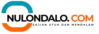 nulondalo.com -  footer image