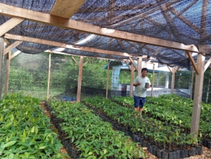 Kampung Adalah Awal Adaptasi dan Mitigasi Perubahan Iklim