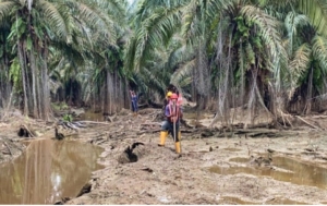 BAM DPR RI Ingatkan Perusahaan Sawit: Penuhi Hak Rakyat atau IUP Dicabut