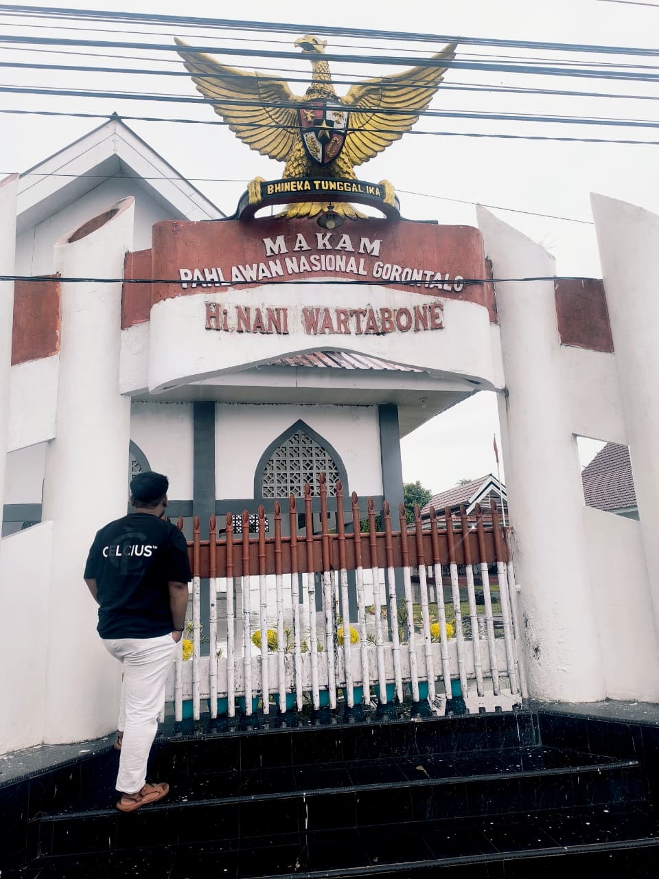 Trilogi Patriotik : Spionase Saripa, Taktik Dua Belas, dan Wasiat Hijau Nani Wartabone yang Terlupakan