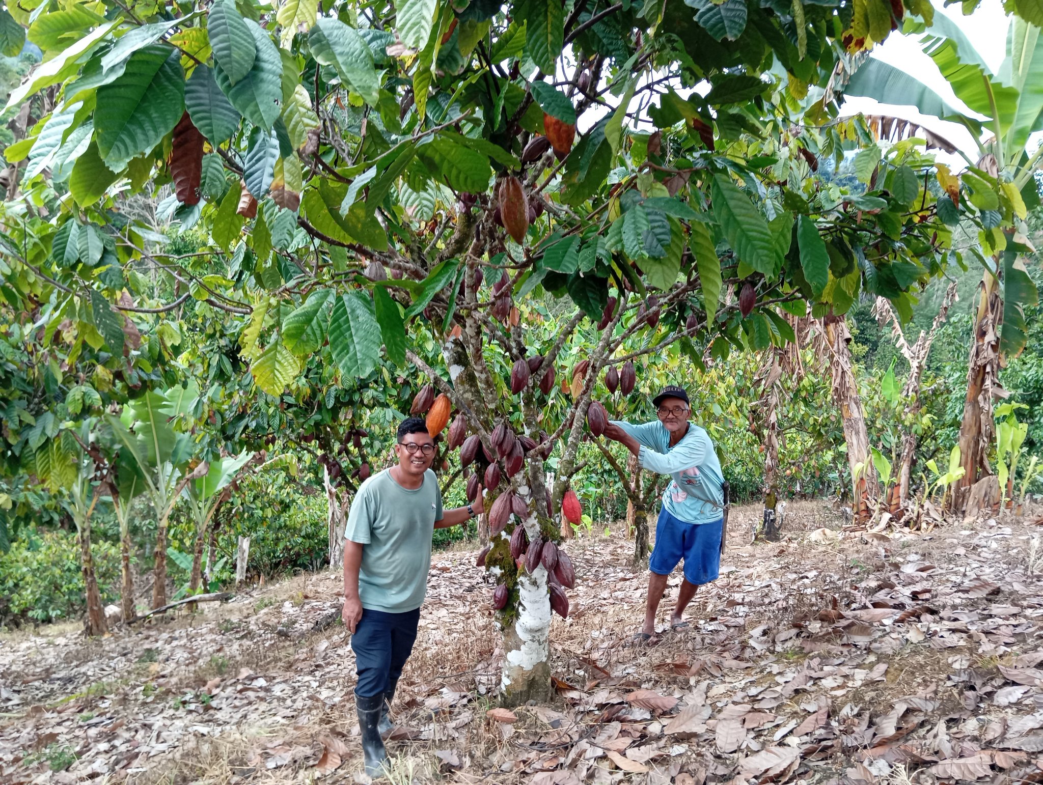 Burung Indonesia Gelar Diskusi Skema Pemanfaatan Karbon Hutan
