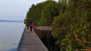 Libur Lebaran Bingung Mau ke Mana? Ini 7 Destinasi “Hidden Gem” Kaltim yang Wajib Kamu Coba!