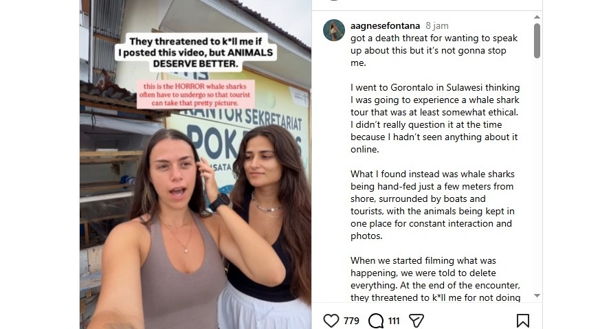 Viral! Turis Italia Sebut Diancam Dibunuh Setelah Rekam Dugaan Praktik Wisata Hiu Paus di Gorontalo